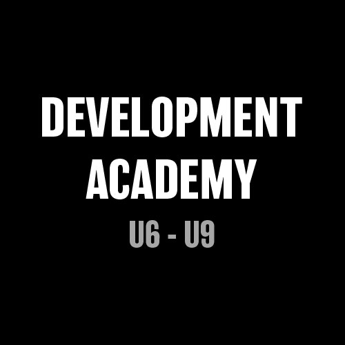 Development Academy